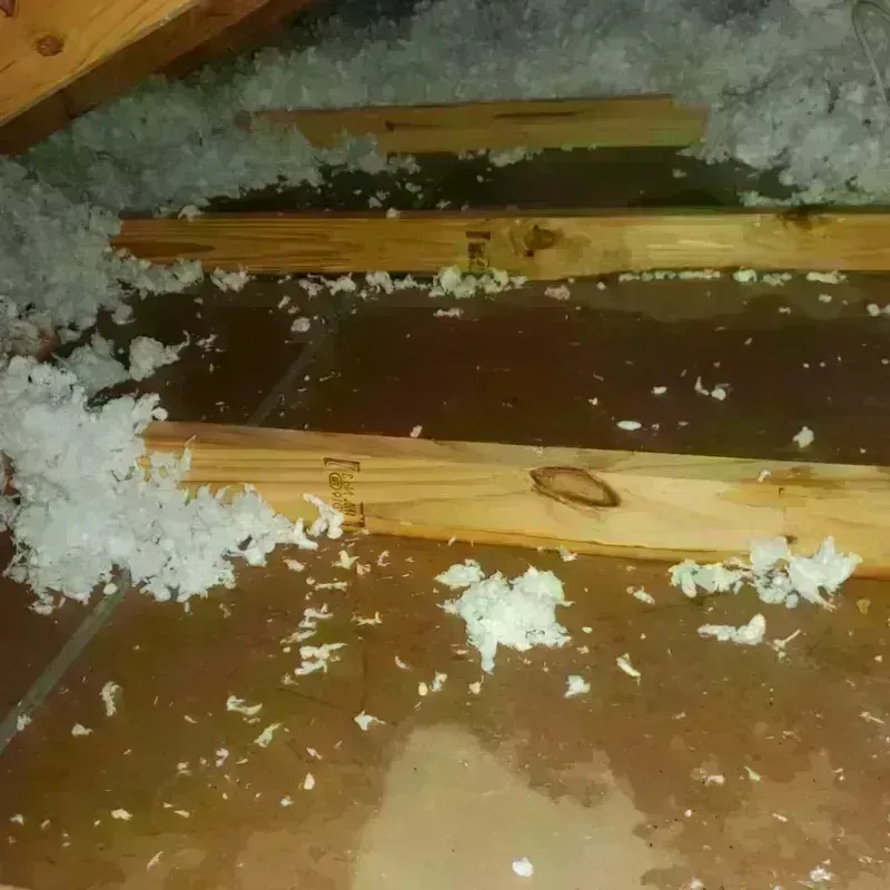 Attic Water Damage in Hallsville, TX